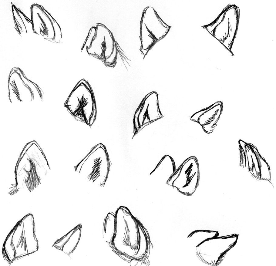 Featured image of post Animal Ears Drawings