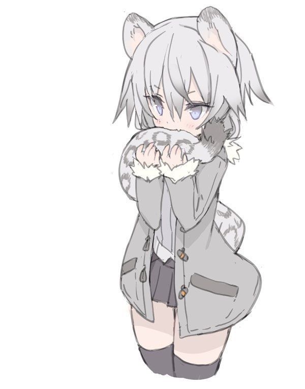 Featured image of post Anime Snow Leopard Neko