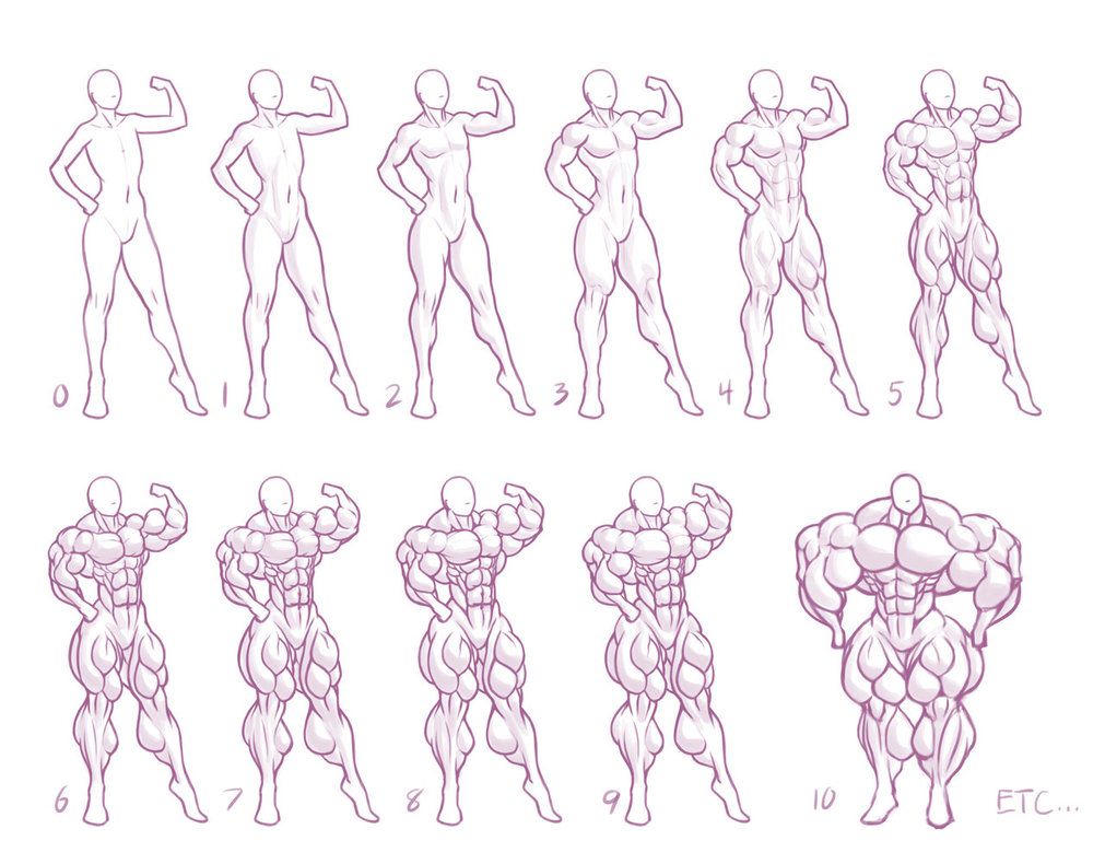 Featured image of post Body Types Muscular Woman Drawing Reference