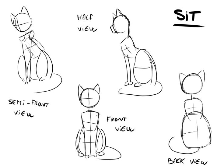 Featured image of post Cat Drawing Base Sitting