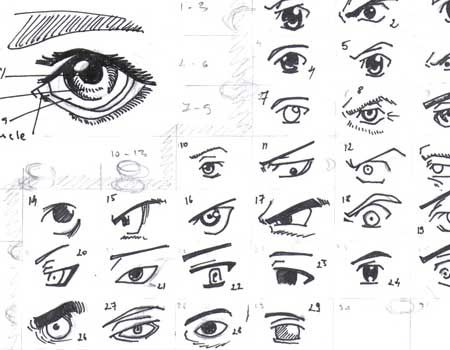 Featured image of post Drawing References Anime Eyes