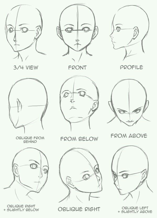 Featured image of post Drawing References Anime Face