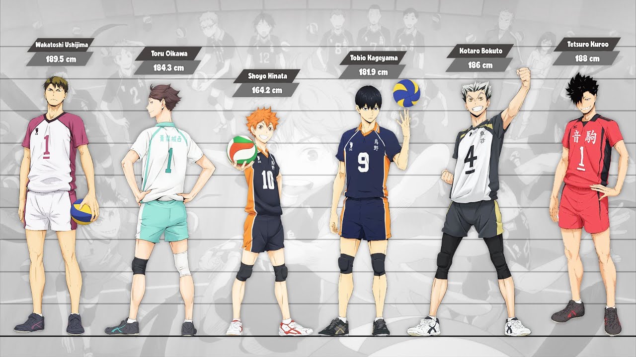 Featured image of post Haikyuu Characters Height Comparison