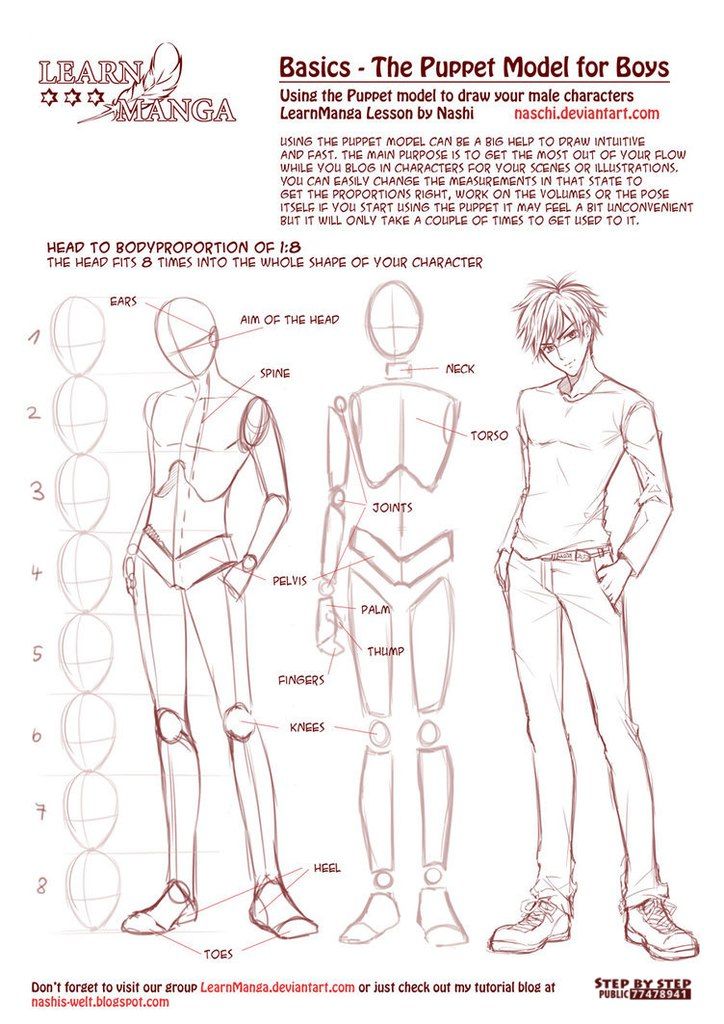 Featured image of post Male Body Sketch Anime