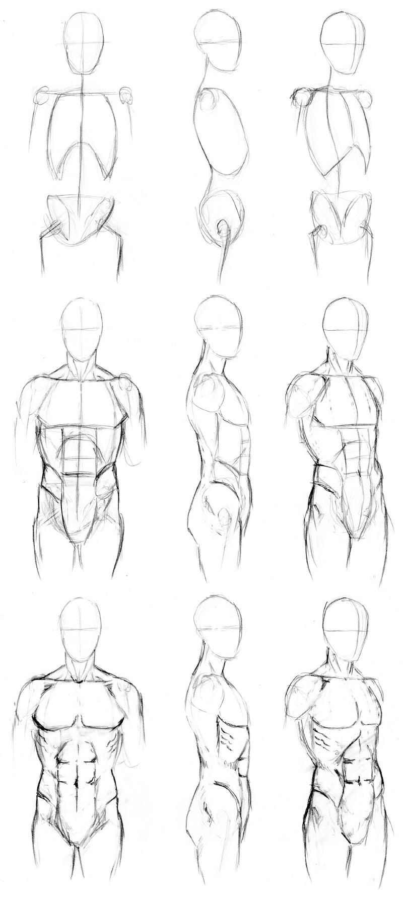 Featured image of post Male Body Sketch Step By Step