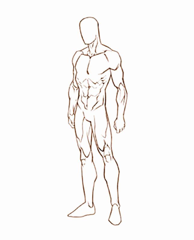 Featured image of post Male Body Sketch Template