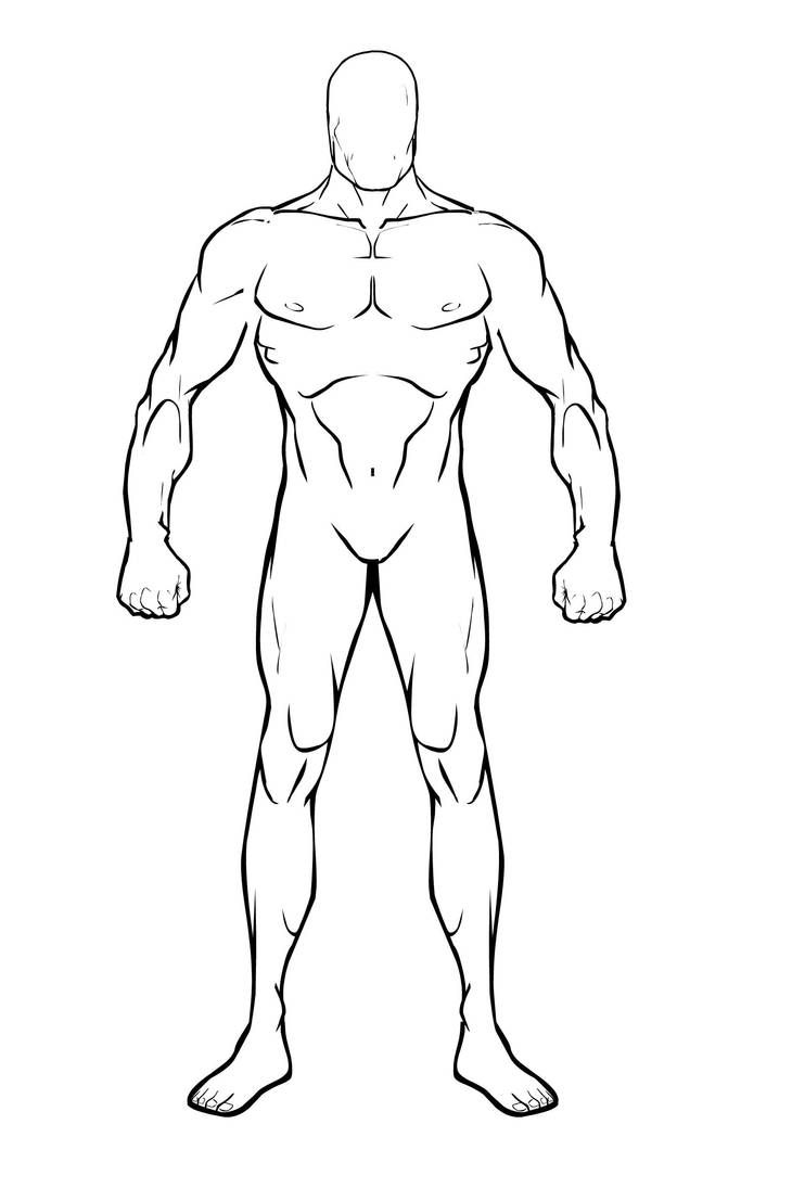 Featured image of post Muscle Male Body Base Drawing