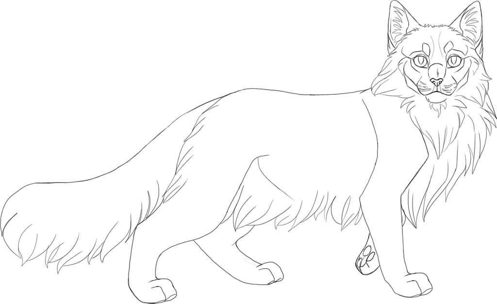 Featured image of post Warrior Cat Drawing Base